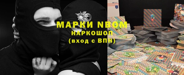 a pvp Аркадак