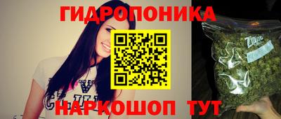 метадон Кингисепп
