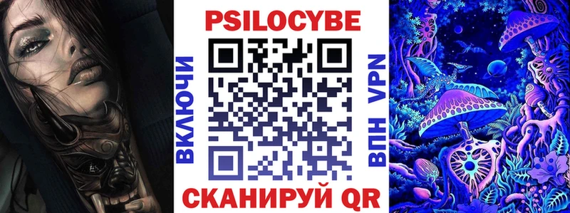 мега зеркало  Менделеевск  Псилоцибиновые грибы мицелий 