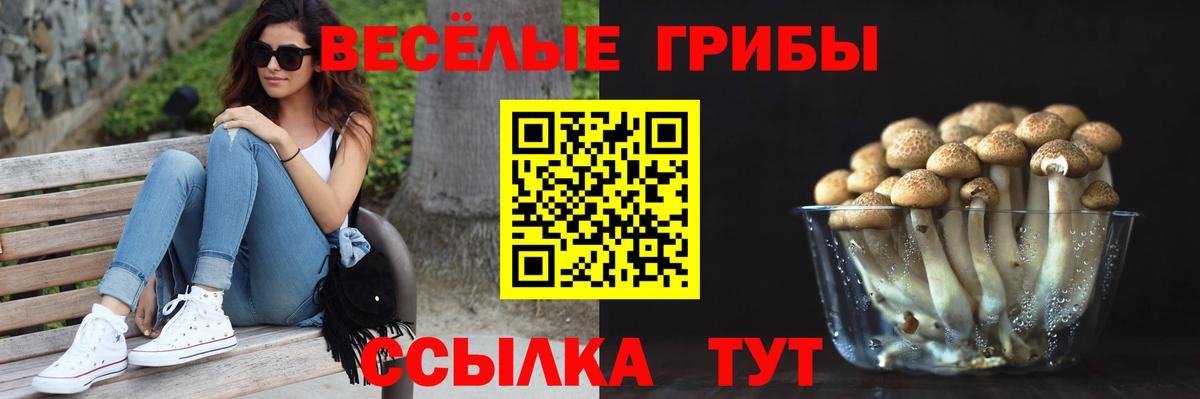 Псилоцибиновые грибы ЛСД  Вход с VPN  Менделеевск  Псилоцибиновые грибы Psilocybe 
